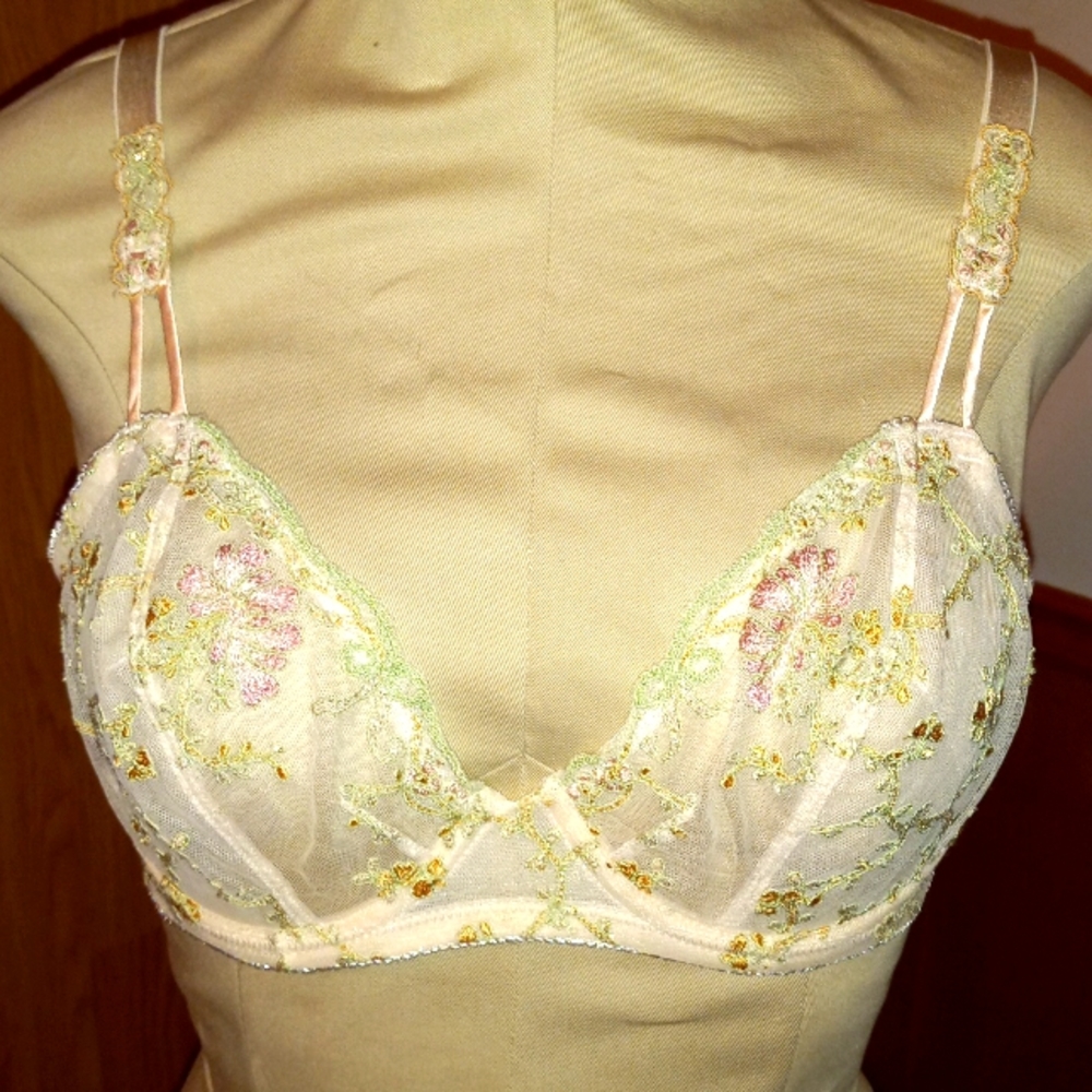 Sheer lace bra